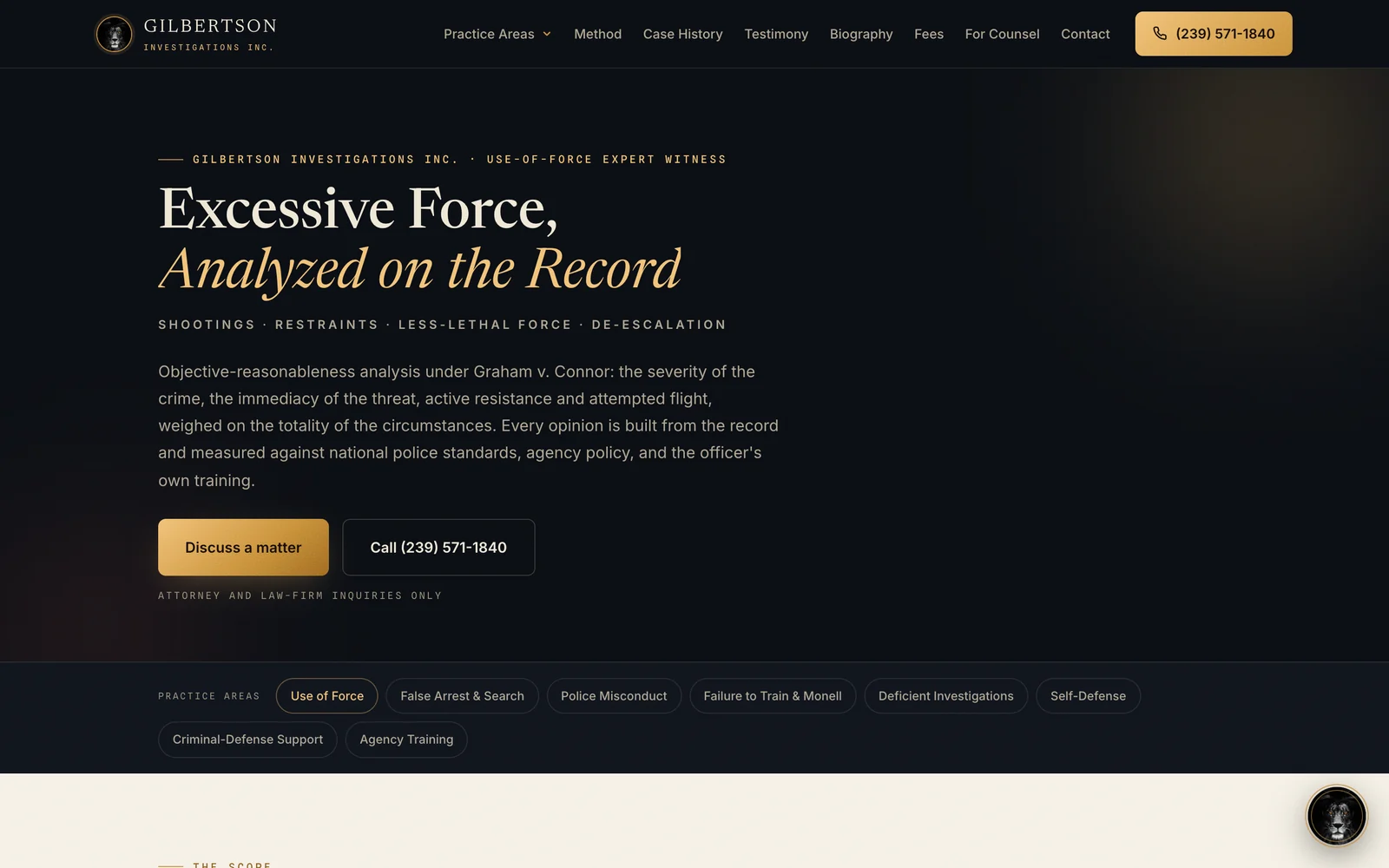 An excessive-force pillar page with its own scope, analysis and inquiry path